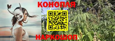 СК Канаш