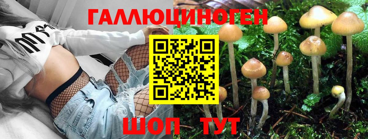 Псилоцибиновые грибы прущие грибы  Вход с VPN  Можга  Галлюциногенные грибы Cubensis 