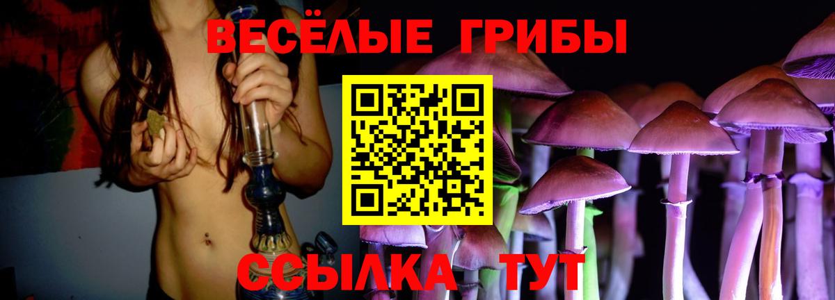 Галлюциногенные грибы Psilocybe Можга